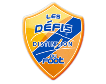 Ecusson les défis du foot